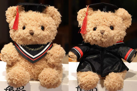 Graduation Teddy Bear Plushie